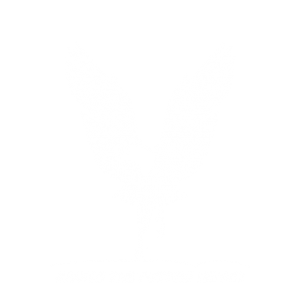 The Eagle Is Landing